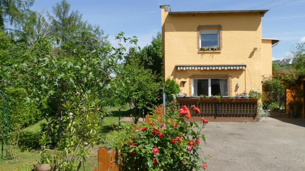 Ferienwohnung Lahnmuendung Mit Kostenlosem Parkplatz Lahnstein Exterior photo